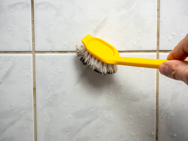 Best Mold Cleaning Services  in Rmel By The Sea, CA