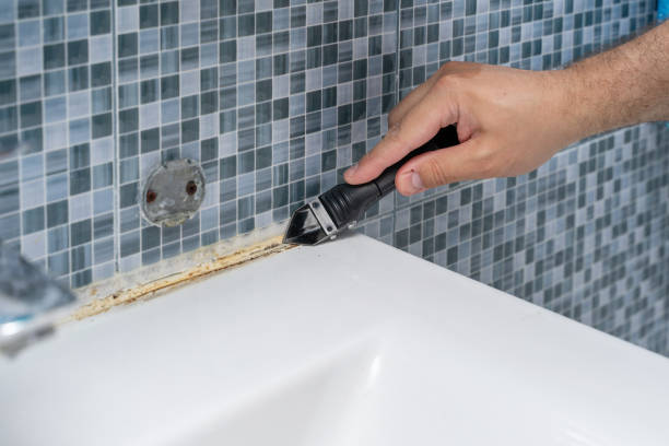 Carmel By The Sea, CA Mold Removal Company
