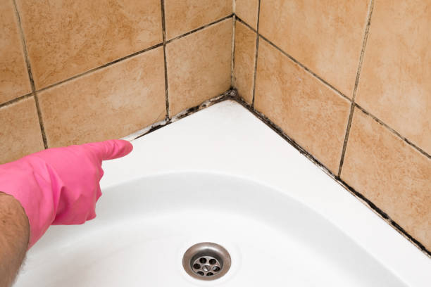 Best Crawl Space Mold Removal  in Rmel By The Sea, CA